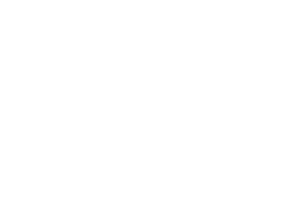 CAGE Permanent Hub Blinds logo