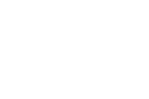 ION Ice Fishing logo