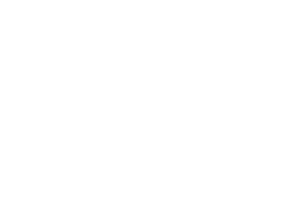 Nested Treestand Systems logo